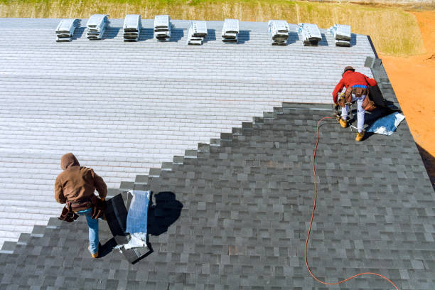 Best Metal Roofing Contractor  in River Falls, WI