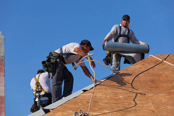 Best Roof Waterproofing Services  in River Falls, WI