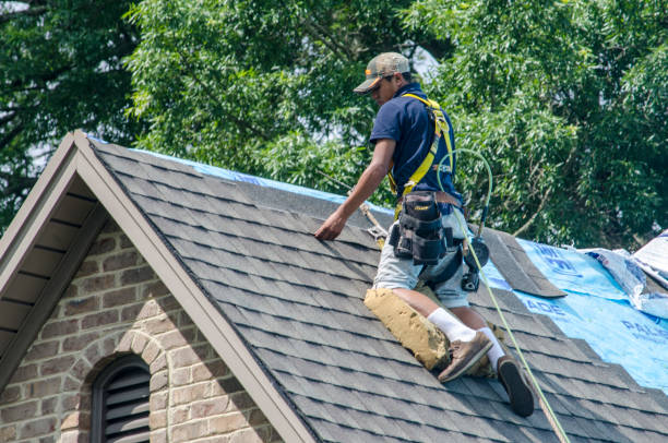 Best Roof Gutter Cleaning  in River Falls, WI